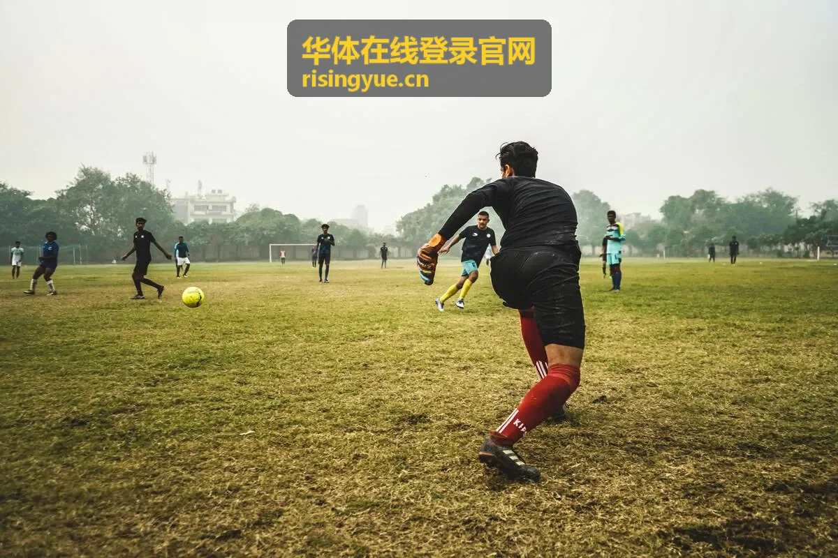 华体在线登录官网账号异常找回恢复场景